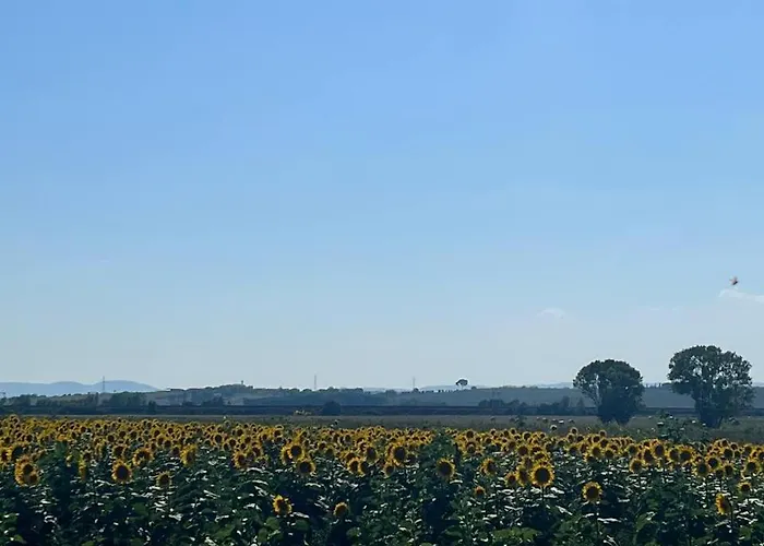 Garden Κορτόνα