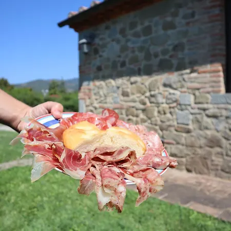 Garden Hébergement de vacances *