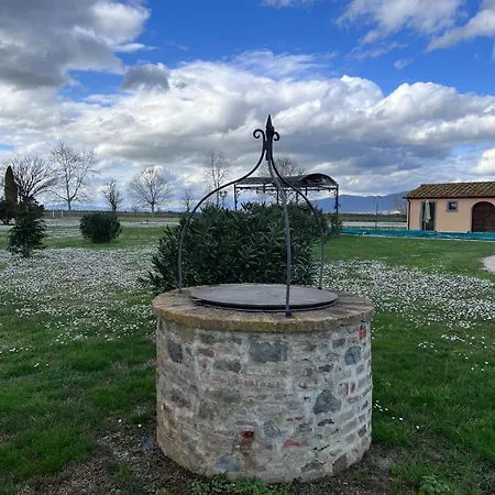 Garden *