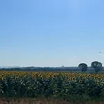 Garden كورتونا